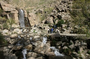 تصویر کوچک
